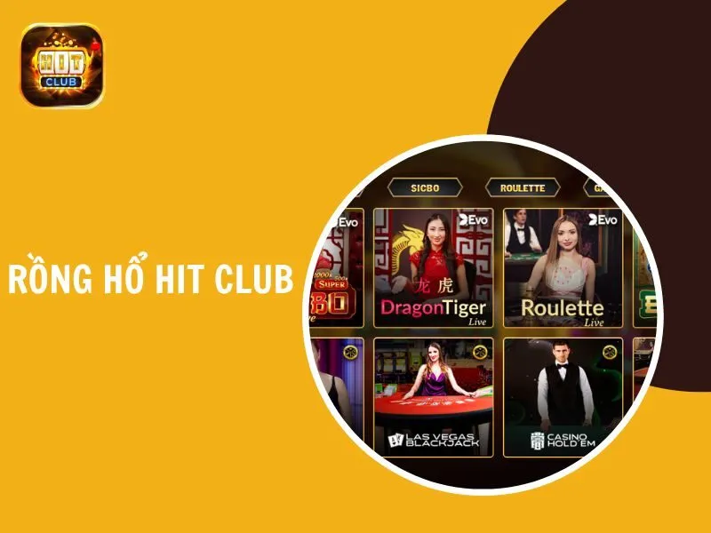 rồng hổ hit club